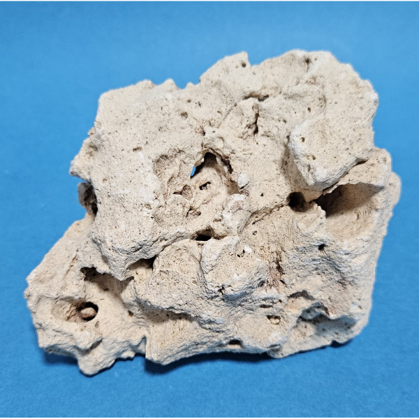 Orbit Lochgestein Sansibar S #095