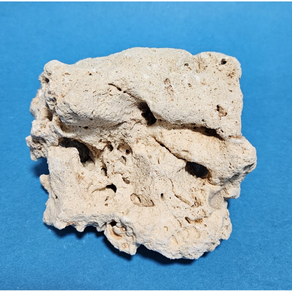 Orbit Lochgestein Sansibar S #095