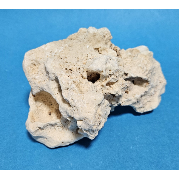 Orbit Lochgestein Sansibar S #096