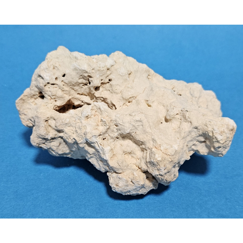 Orbit Lochgestein Sansibar S #097