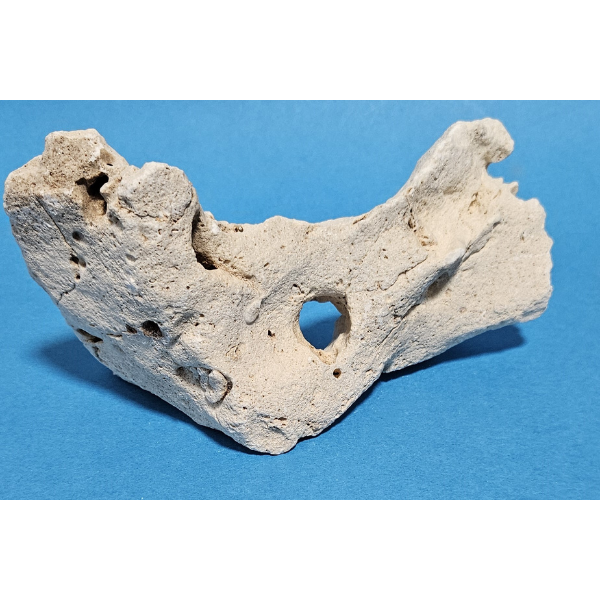 Orbit Lochgestein Sansibar S #098