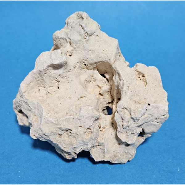 Orbit Lochgestein Sansibar S #099