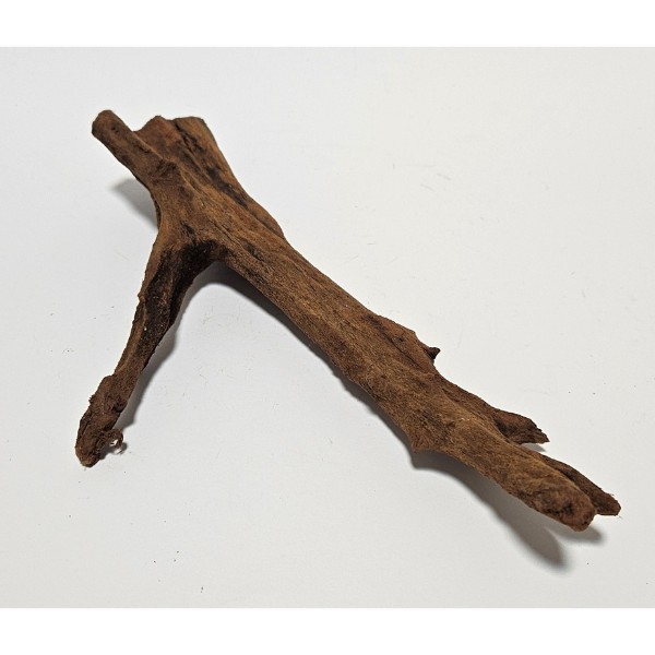 Orbit Mangroven Wurzel S #0129