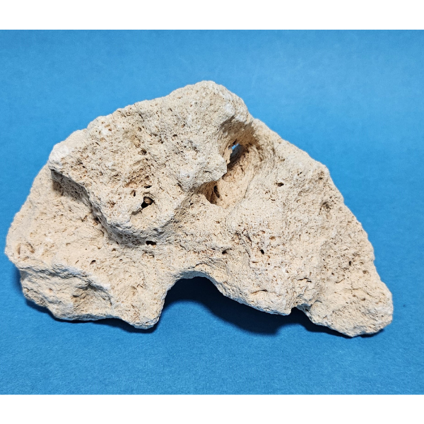 Orbit Lochgestein Sansibar S #071