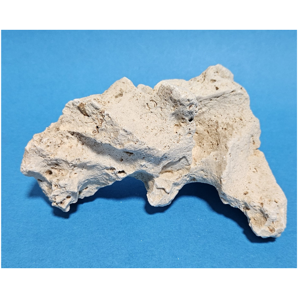 Orbit Lochgestein Sansibar S #072