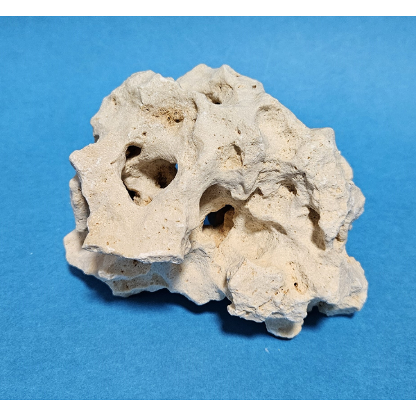 Orbit Lochgestein Sansibar S #074