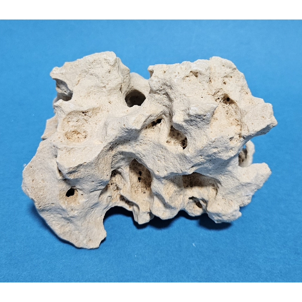 Orbit Lochgestein Sansibar S #074