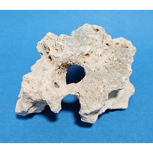 Orbit Lochgestein Sansibar S #076