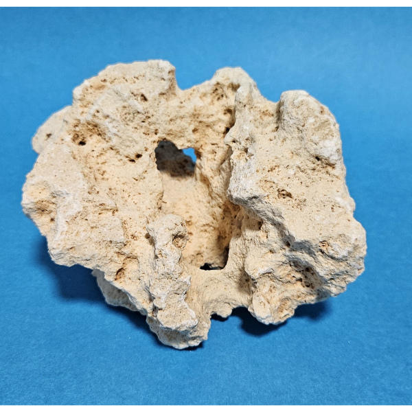 Orbit Lochgestein Sansibar S #076