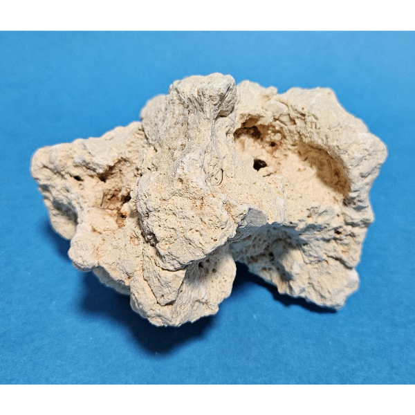 Orbit Lochgestein Sansibar S #077