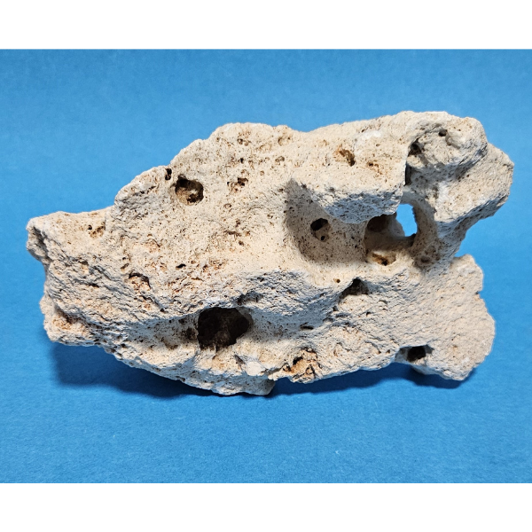 Orbit Lochgestein Sansibar S #078