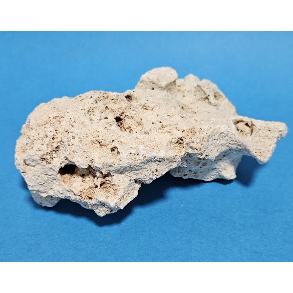 Orbit Lochgestein Sansibar S #078