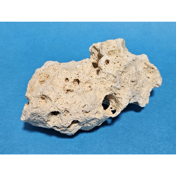 Orbit Lochgestein Sansibar S #080