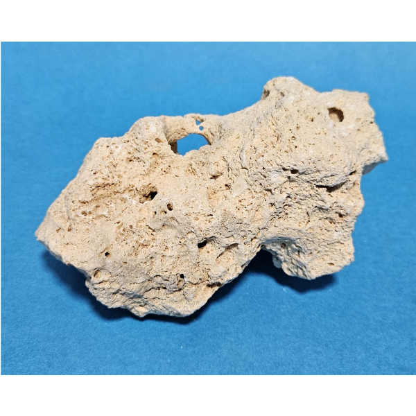 Orbit Lochgestein Sansibar S #080