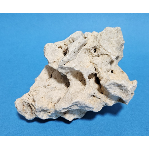 Orbit Lochgestein Sansibar S #081