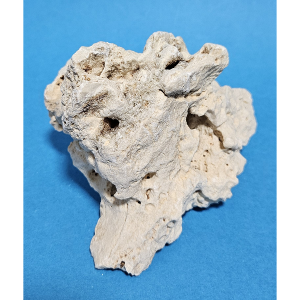 Orbit Lochgestein Sansibar S #081