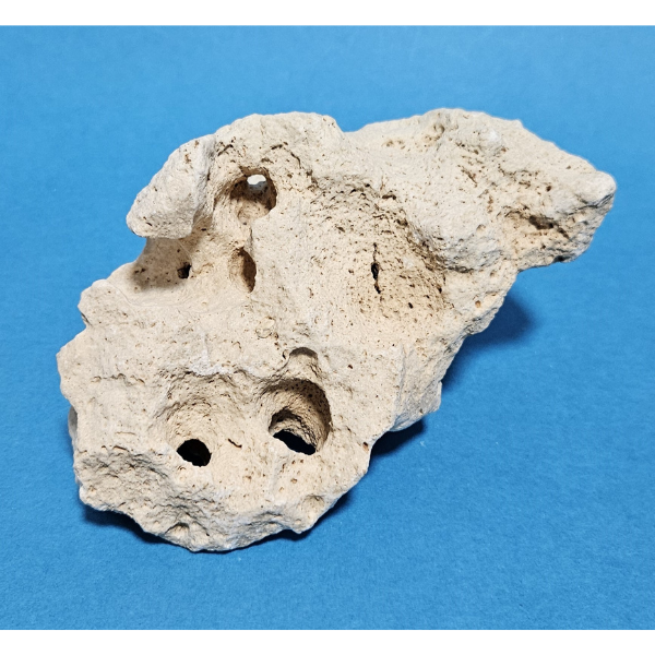 Orbit Lochgestein Sansibar S #082