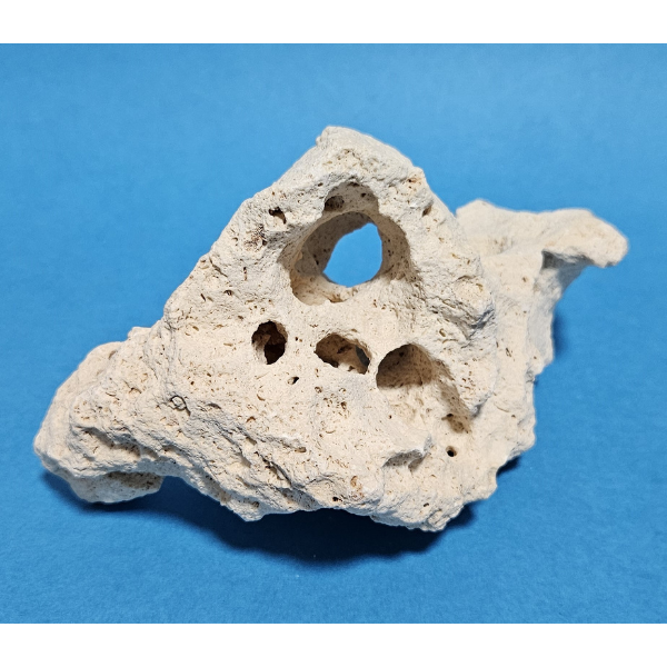 Orbit Lochgestein Sansibar S #083