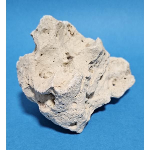 Orbit Lochgestein Sansibar S #084