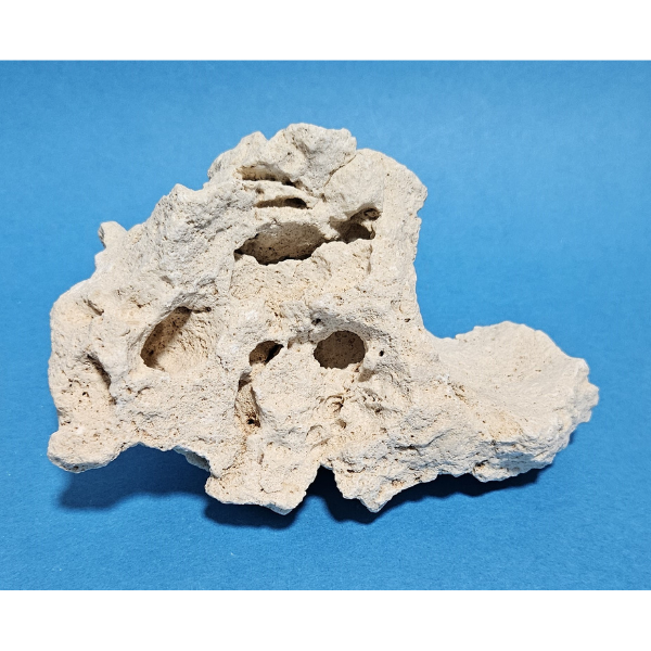 Orbit Lochgestein Sansibar S #085