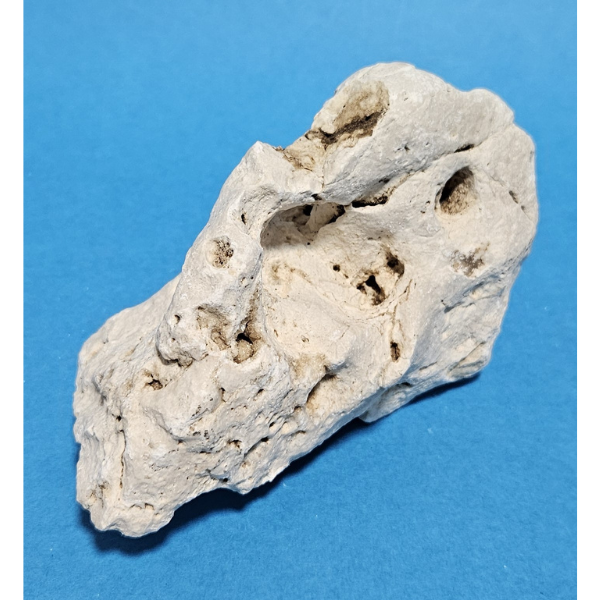 Orbit Lochgestein Sansibar S #086