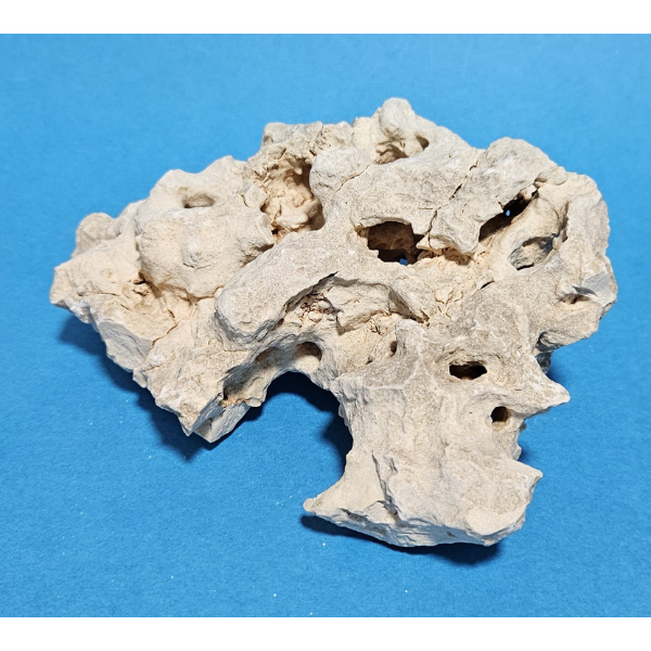 Orbit Lochgestein Sansibar S #087