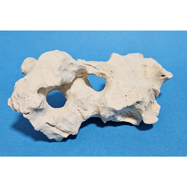 Orbit Lochgestein Sansibar S #088