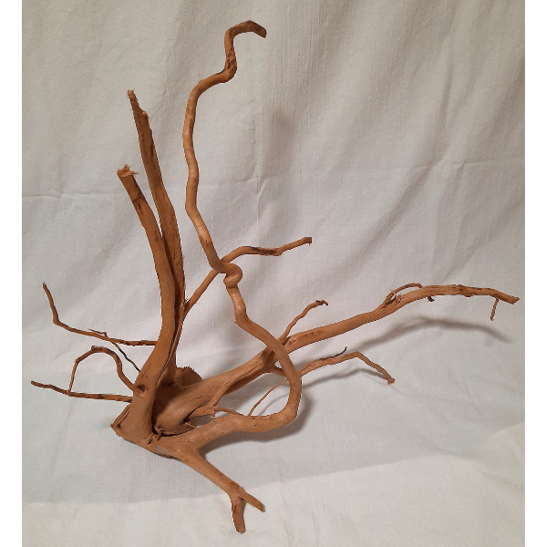 Aquadeco Rote Moorwurzel Spiderwood XL #36