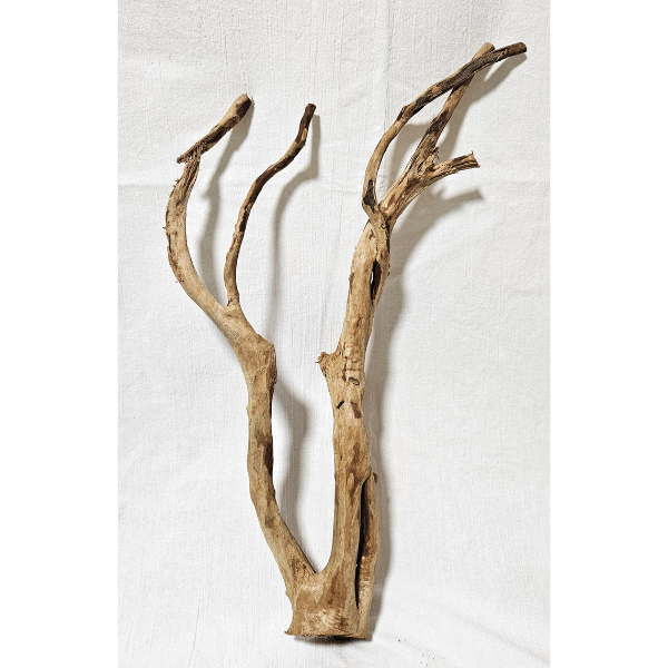 AP Moorwurzel Spiderwood L #302