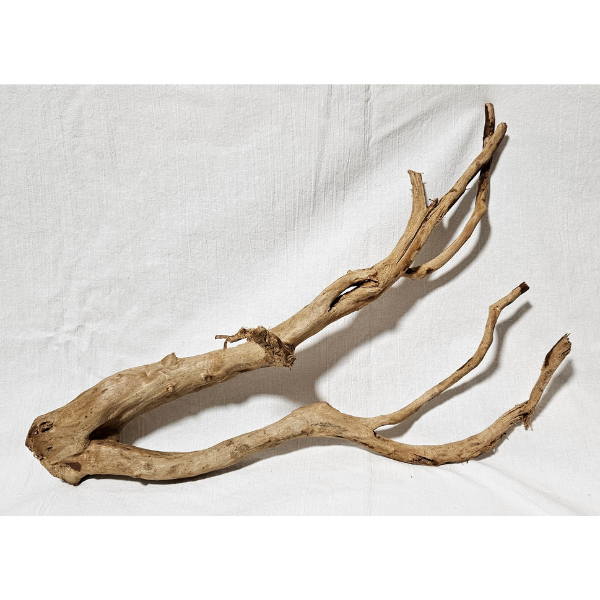 AP Moorwurzel Spiderwood L #302