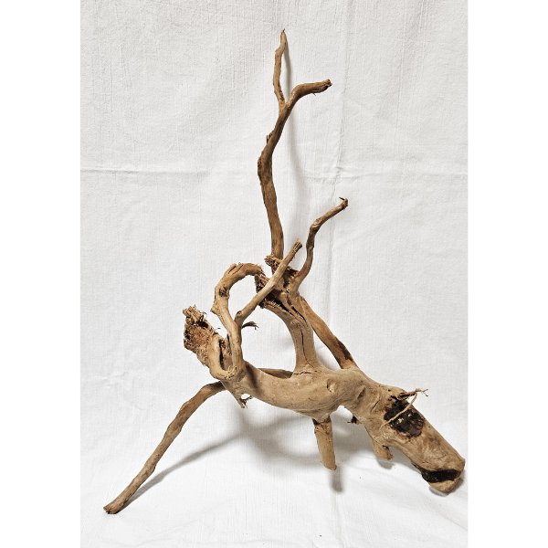 AP Moorwurzel Spiderwood L #303