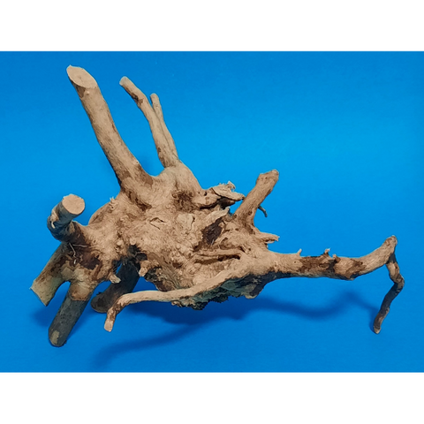Aquadeco Rote Moorwurzel, Spiderwood XS #131