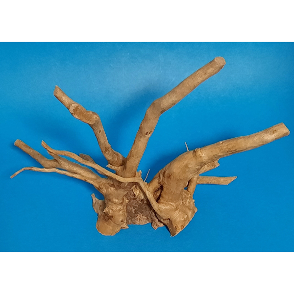 Aquadeco Rote Moorwurzel, Spiderwood XS #136