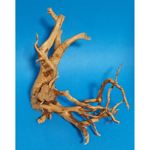 Aquadeco Rote Moorwurzel, Spiderwood XS #137