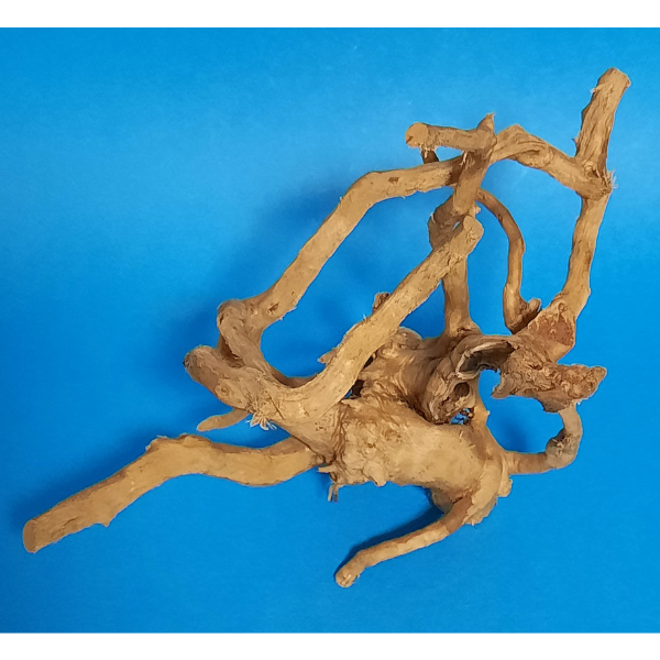 Aquadeco Rote Moorwurzel, Spiderwood XS #138