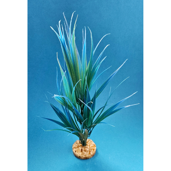 Sydeco Sword Plant 25cm