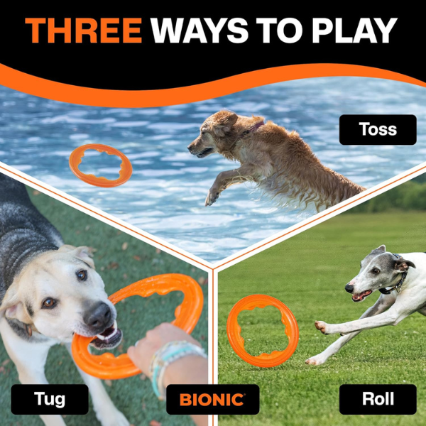 BIONIC Toss-N-Tug Turbo Hunde Apportierspielzeug, Wurfscheibe