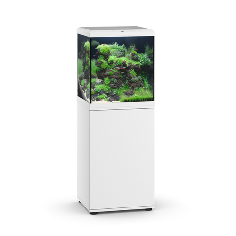 Juwel VIO CUBE 80 SBX 80l Aquarium Kombination