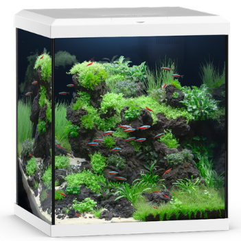 Juwel VIO CUBE 80 SBX 80l Aquarium Kombination