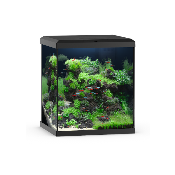 Juwel VIO CUBE 80 SBX 80l Aquarium Kombination