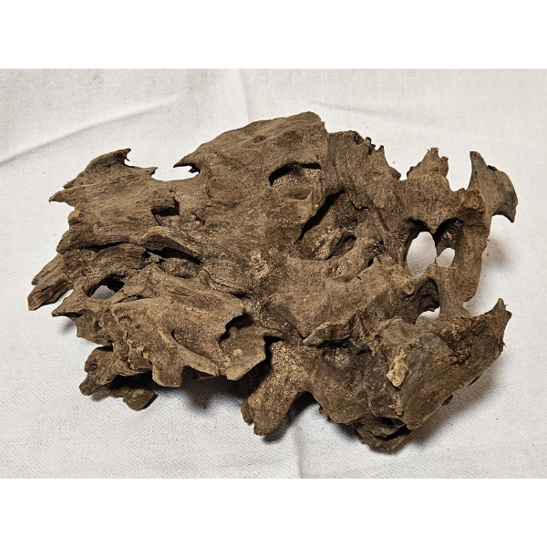 Aquadeco Wabenholz / Drachenholz XL 064