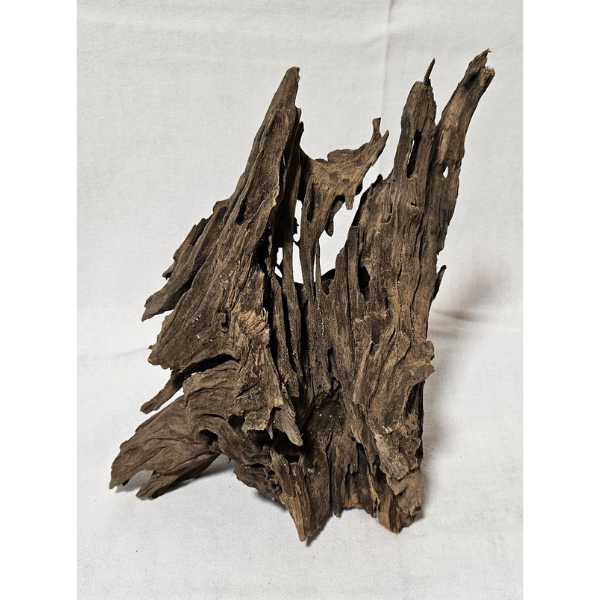 Aquadeco Wabenholz / Drachenholz XL 067