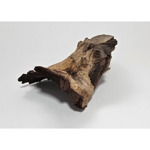 Hobby Mopani Wurzel XS 2-farbig #600