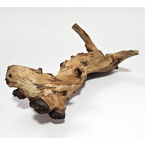 Hobby Mopani Wurzel XS 2-farbig #606