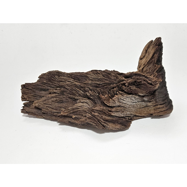 Hobby Mopani Wurzel XS braun #609