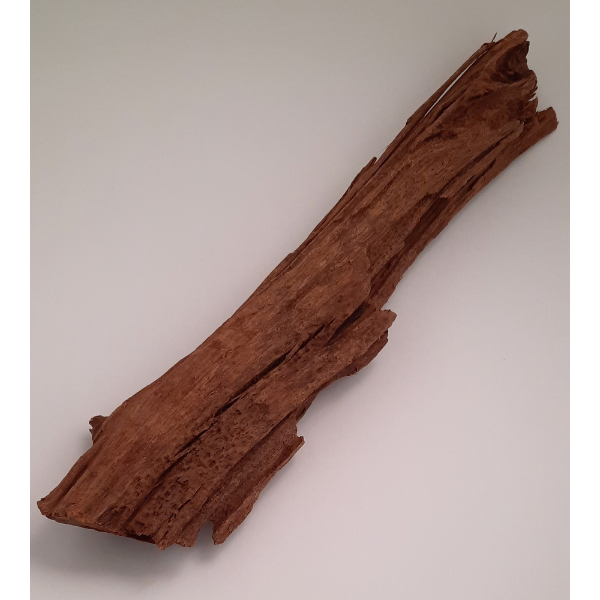 aquadeco Yati-Holz, Jungle Wood M #01