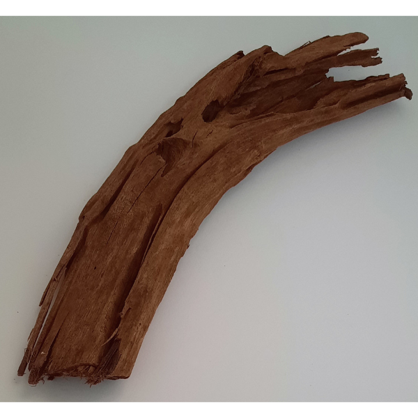 aquadeco Yati-Holz, Jungle Wood M #04