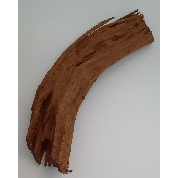 aquadeco Yati-Holz, Jungle Wood M #04