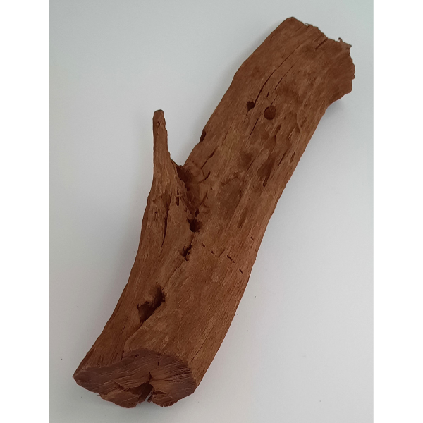 aquadeco Yati-Holz, Jungle Wood M #07