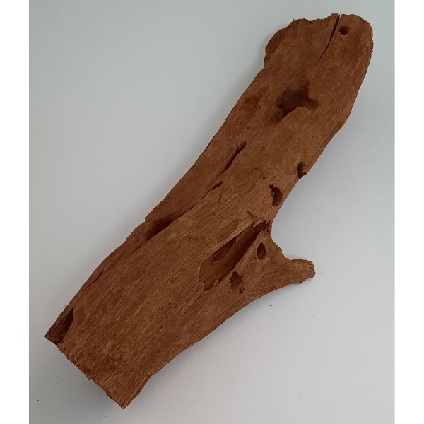 aquadeco Yati-Holz, Jungle Wood M #07